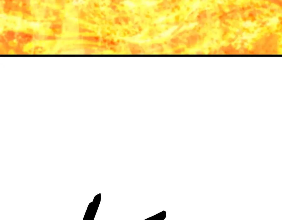 第239页
