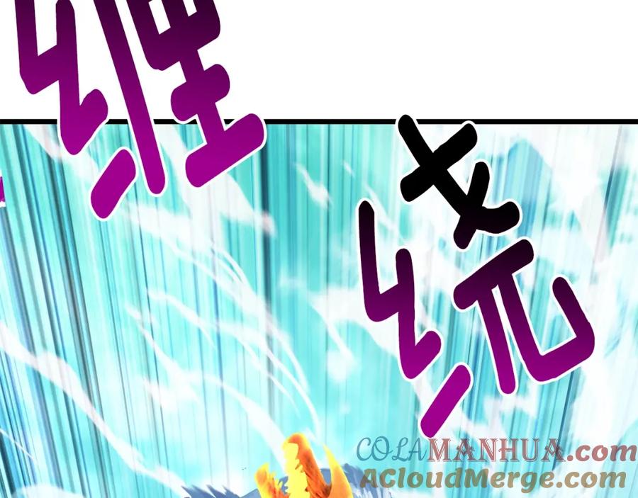第205页