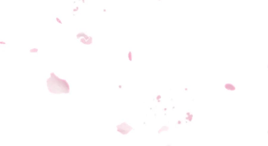 第226页