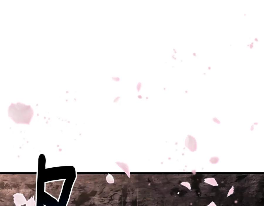 第227页