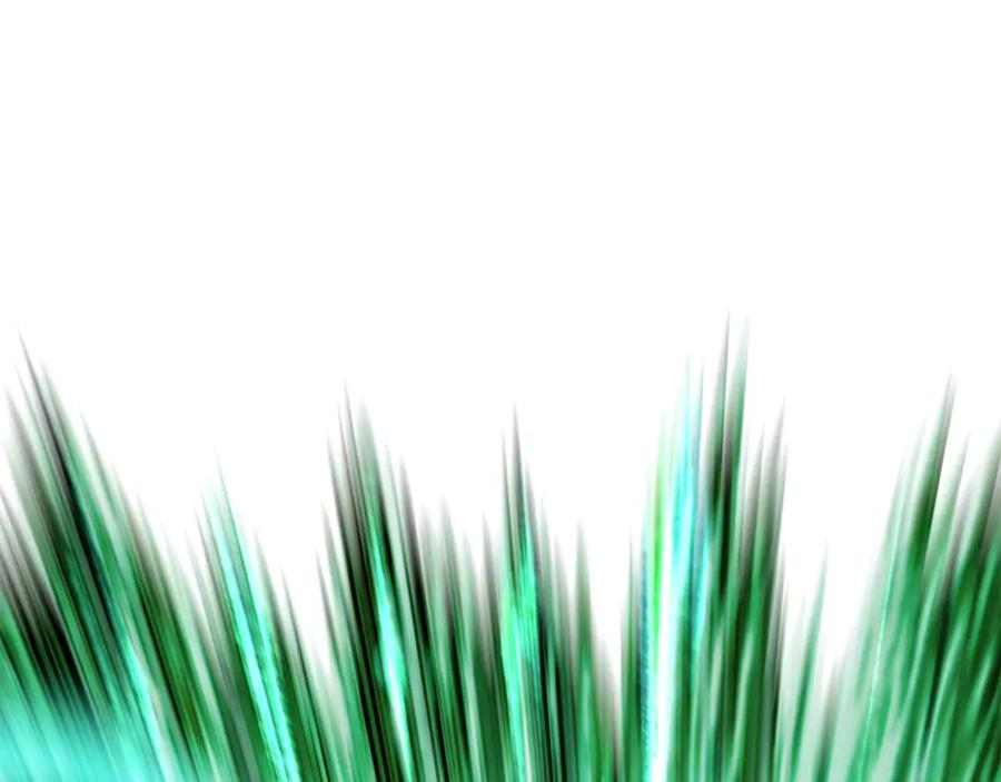 第216页