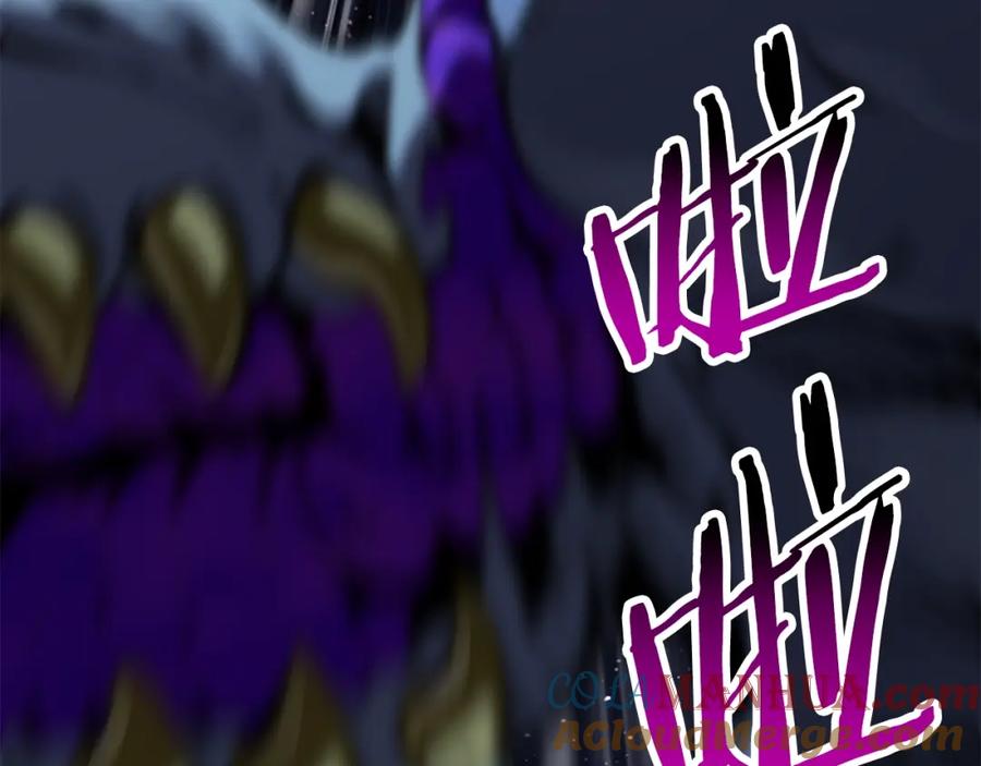 第221页