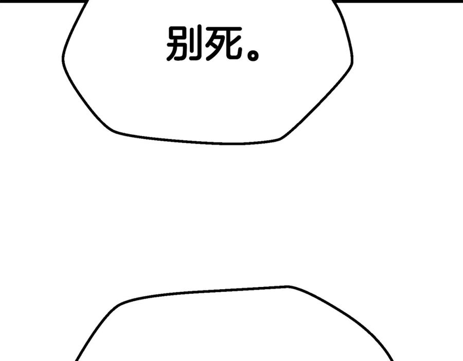 第223页