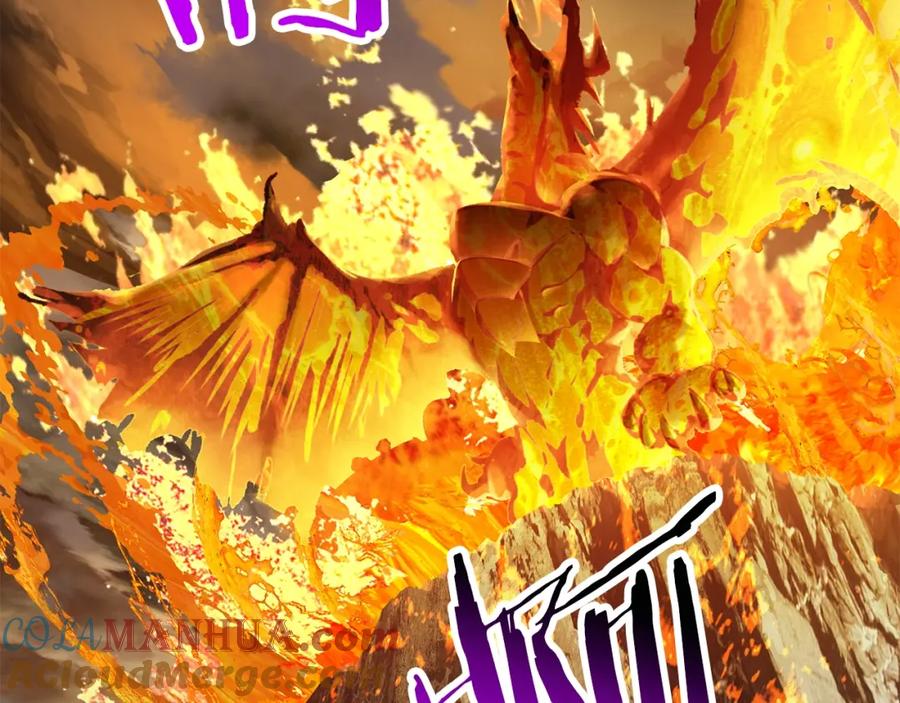 第205页