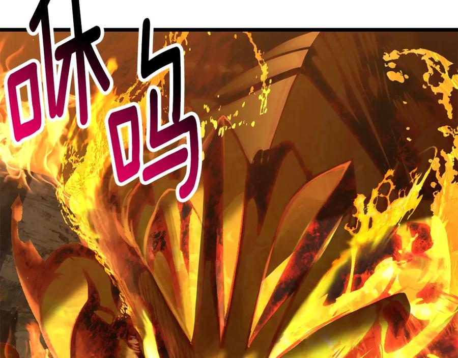 第242页