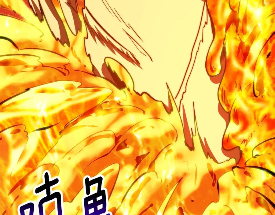 第228页