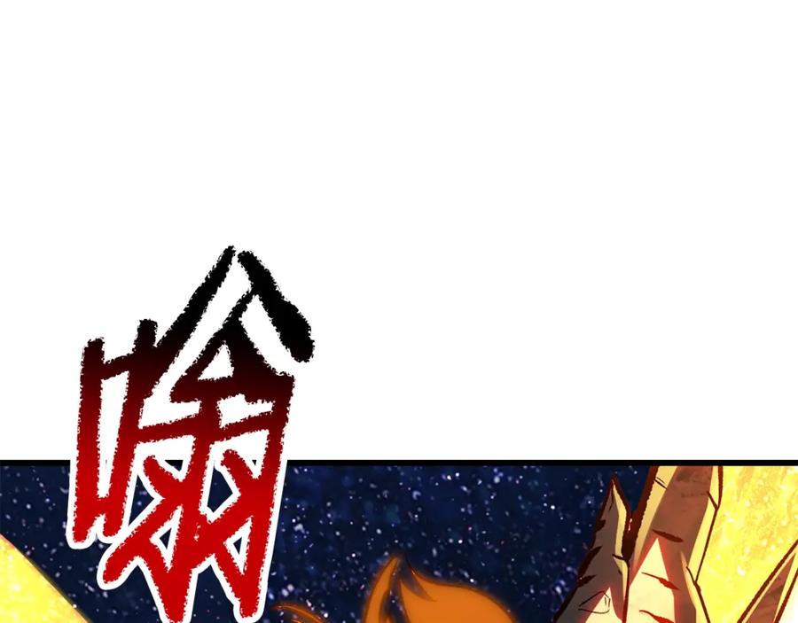 第255页