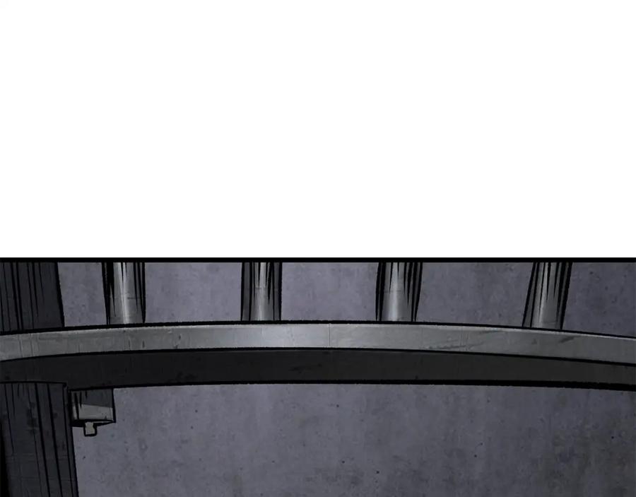 第234页