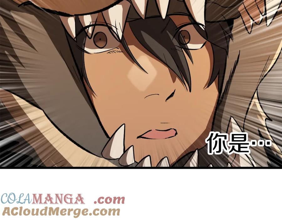 第233页