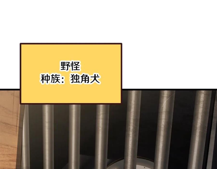 第211页