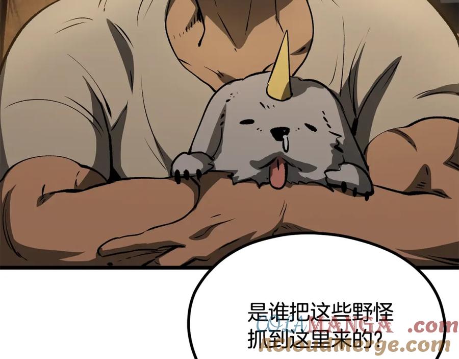 第217页