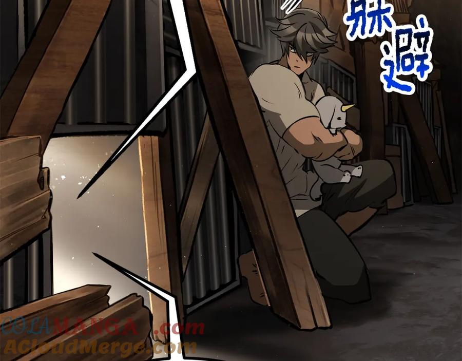 第229页