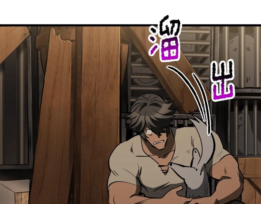 第234页