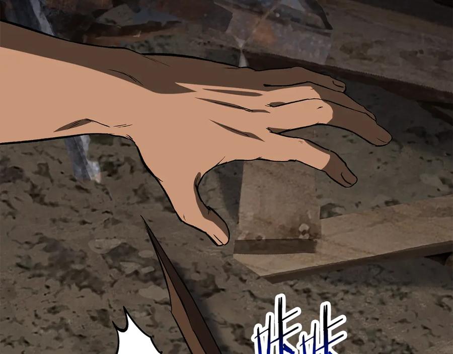 第239页