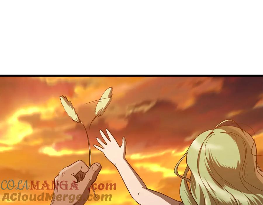 第229页