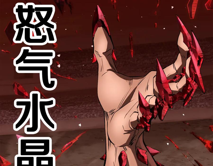 第231页