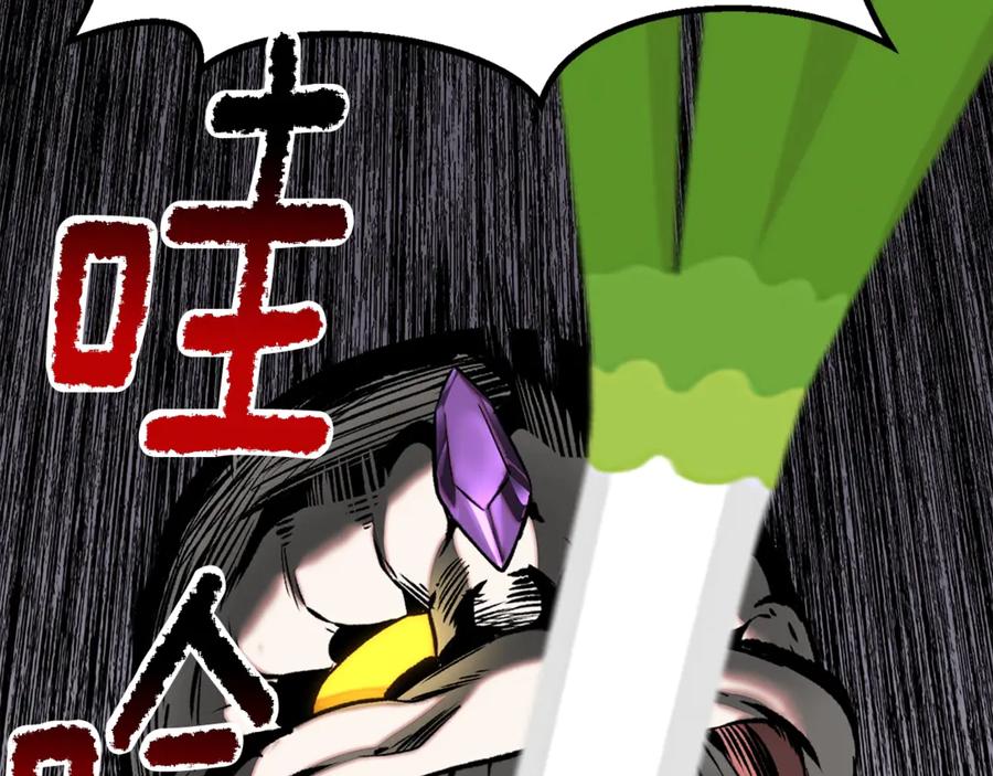 第204页