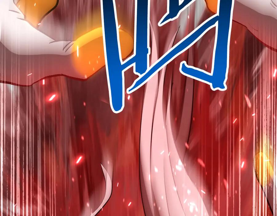 第215页