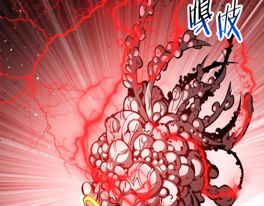 第223页