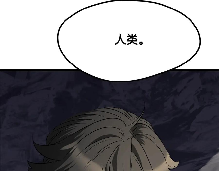 第223页