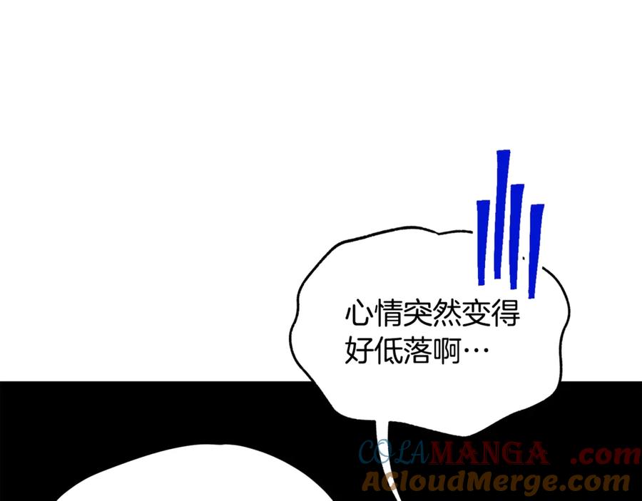 第241页