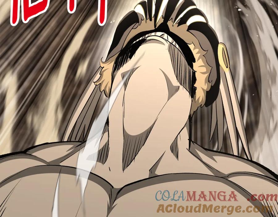 第205页