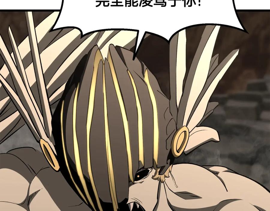第215页