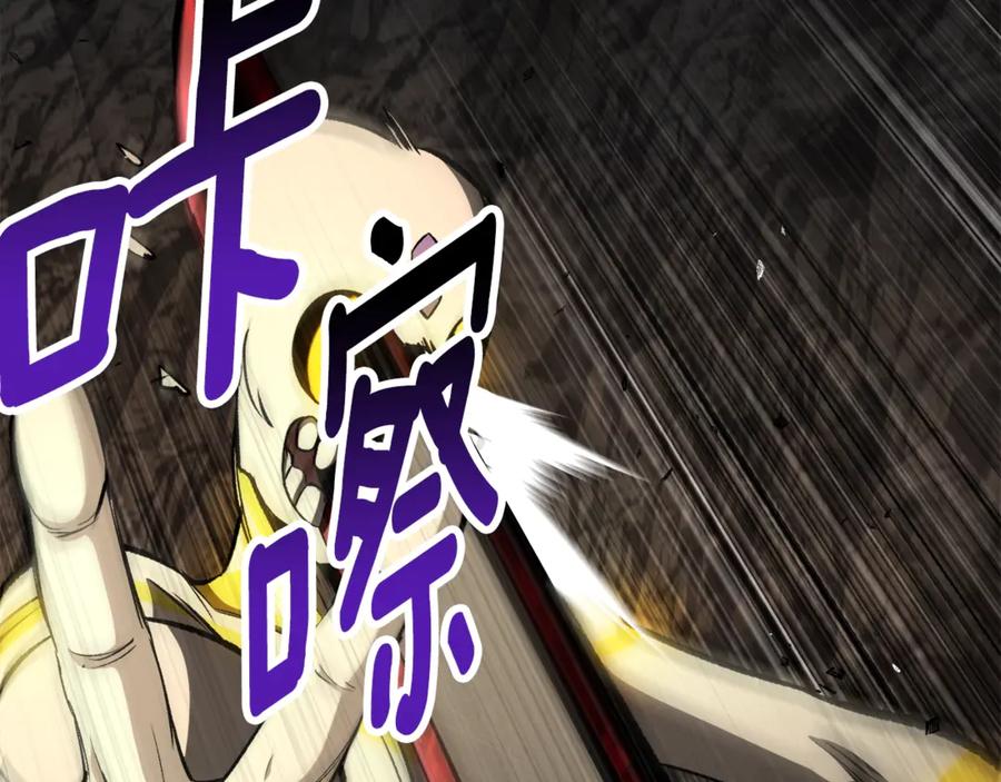 第216页