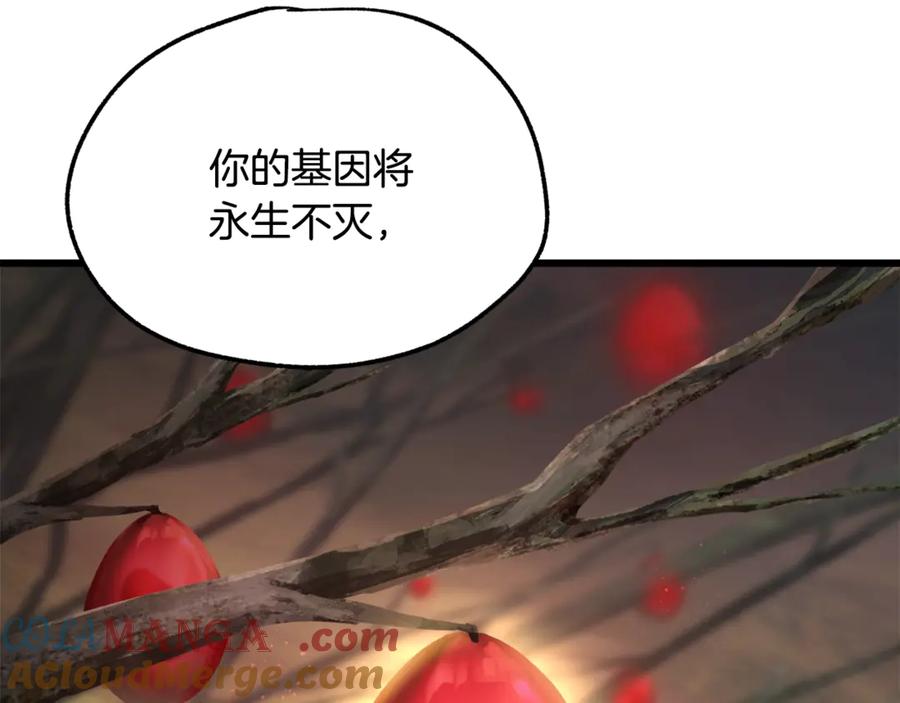 第217页
