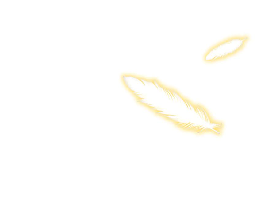 第198页