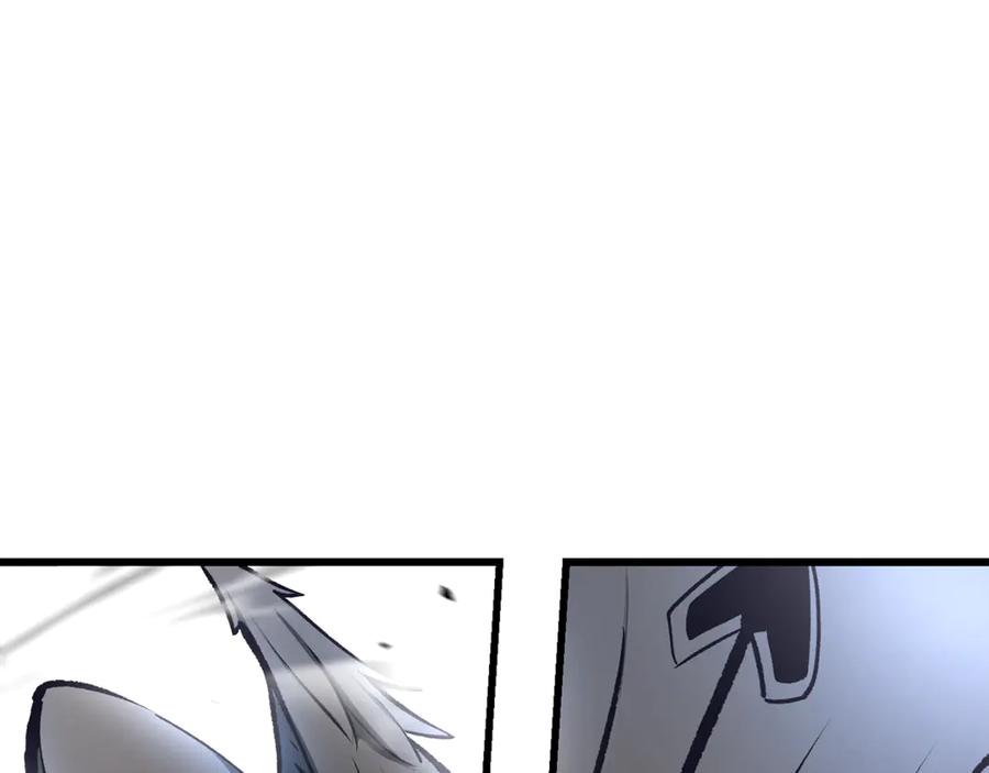 第223页