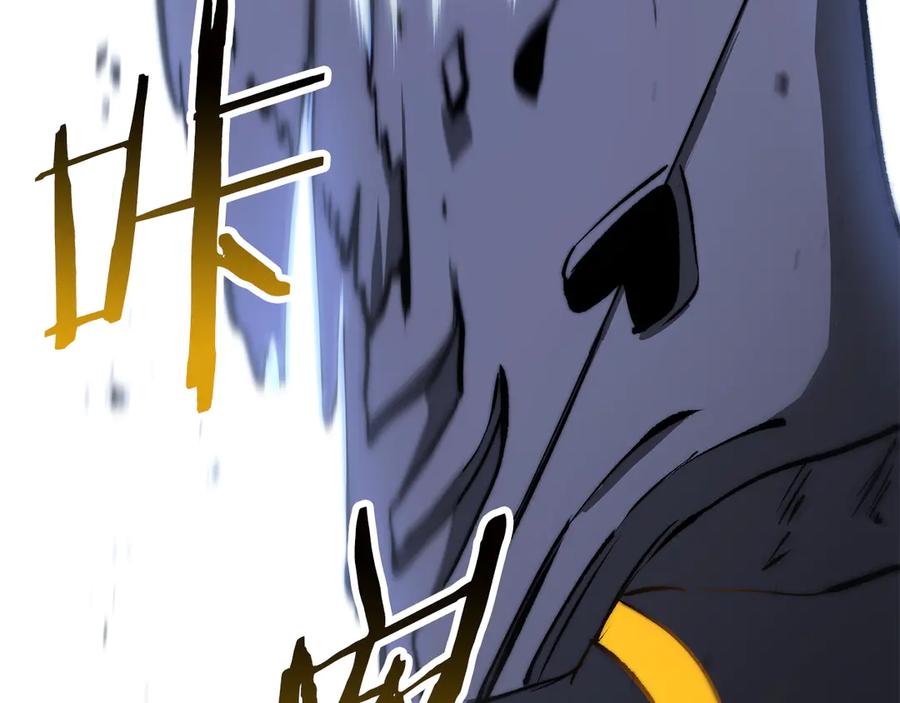 第224页