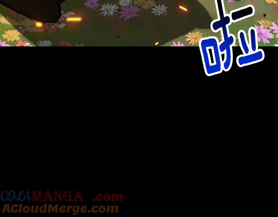第205页
