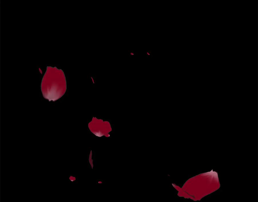 第206页
