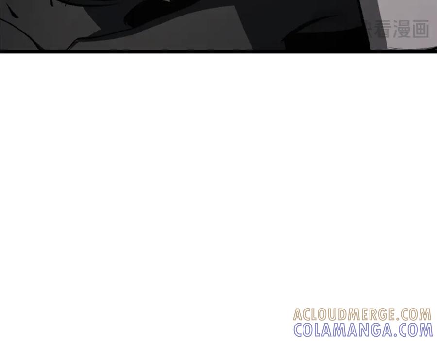 第241页