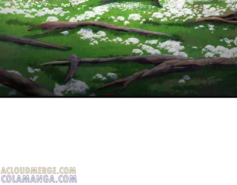 第217页