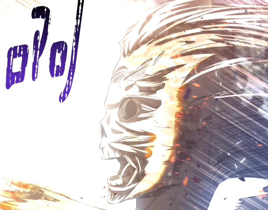 第215页