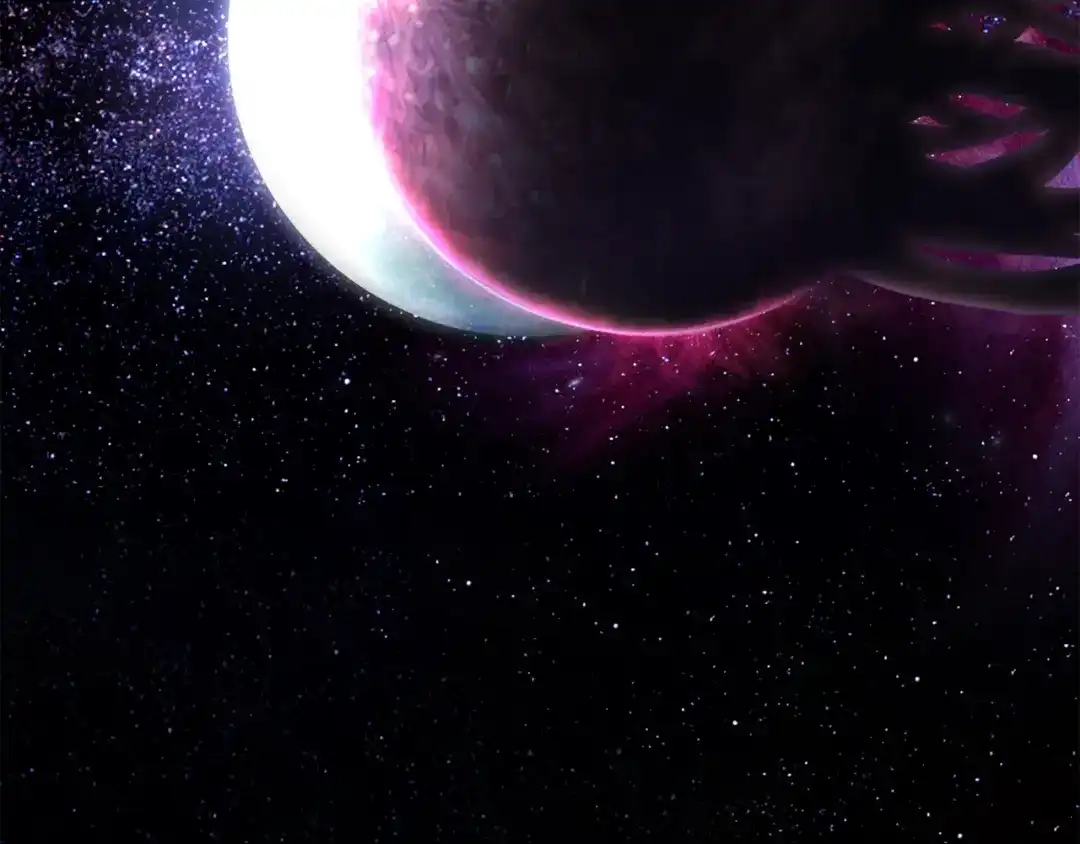 第195页