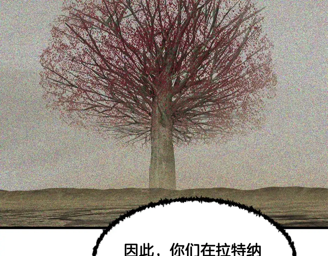 第248页