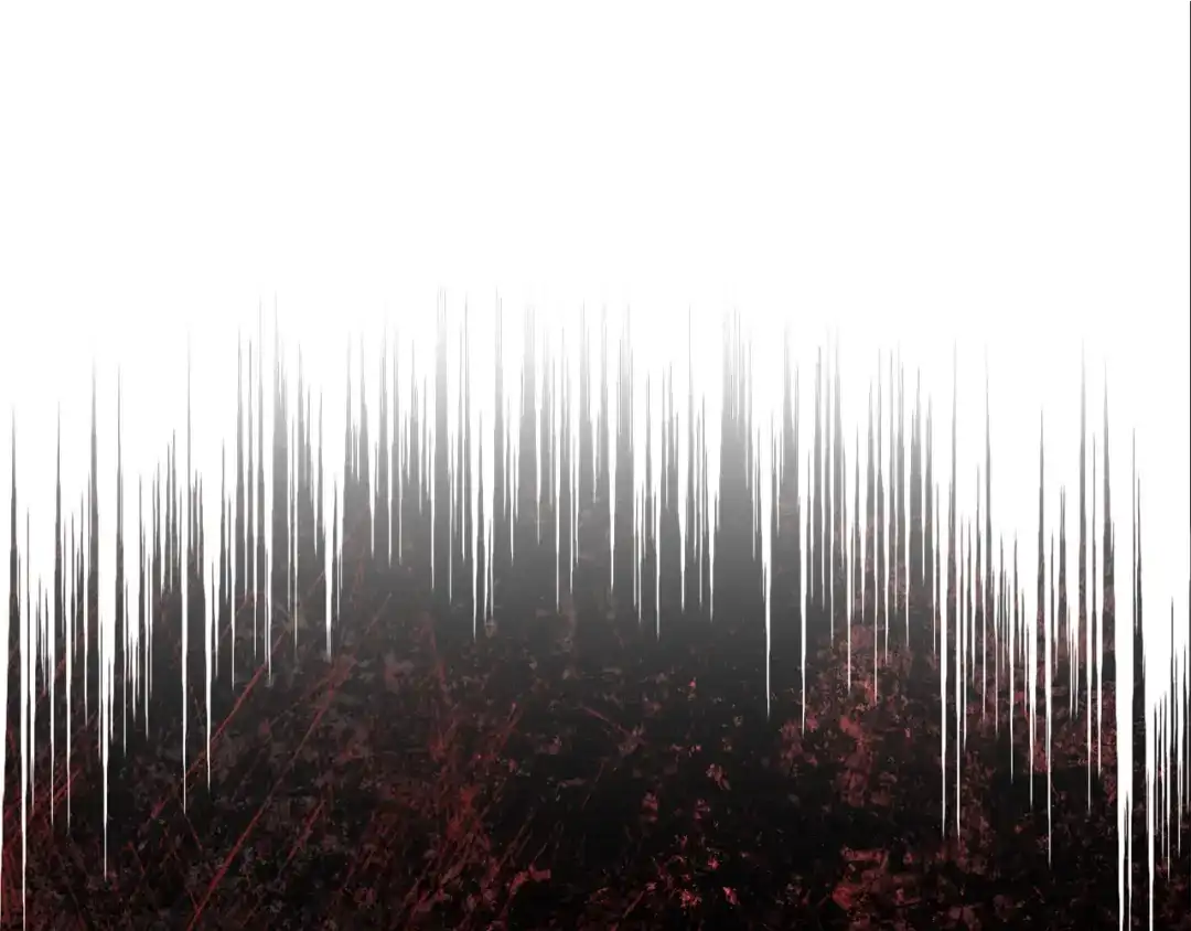 第244页