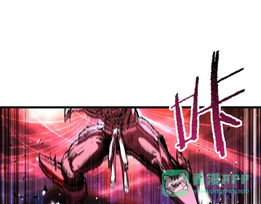 第231页