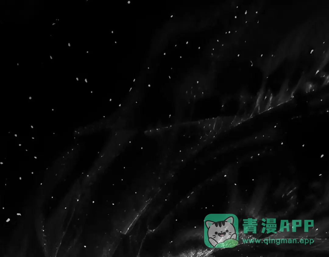 第256页