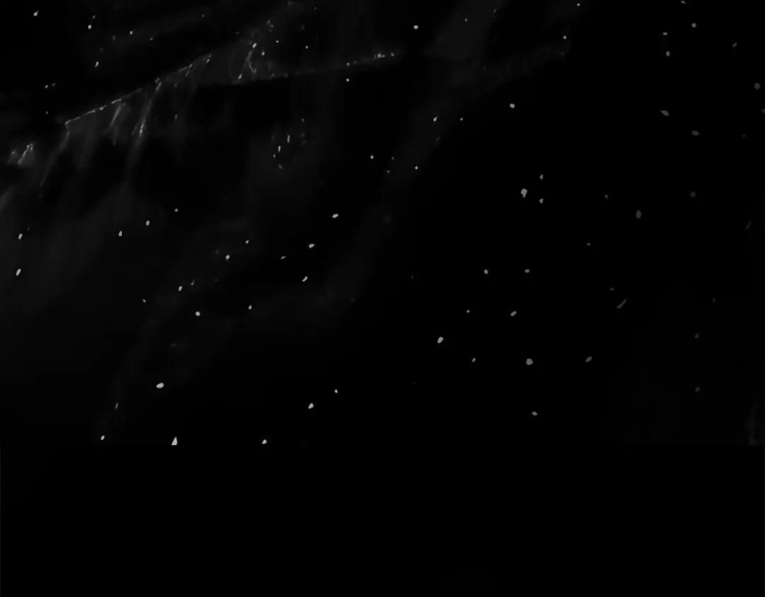 第259页