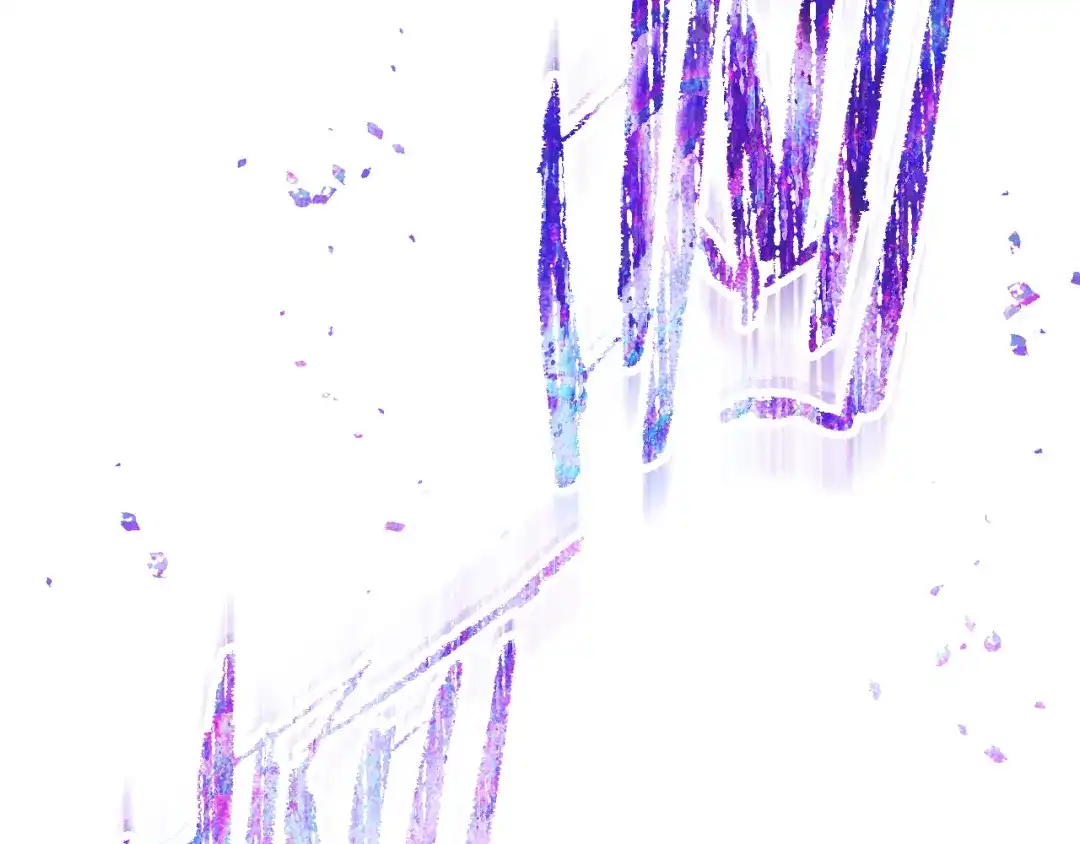 第219页