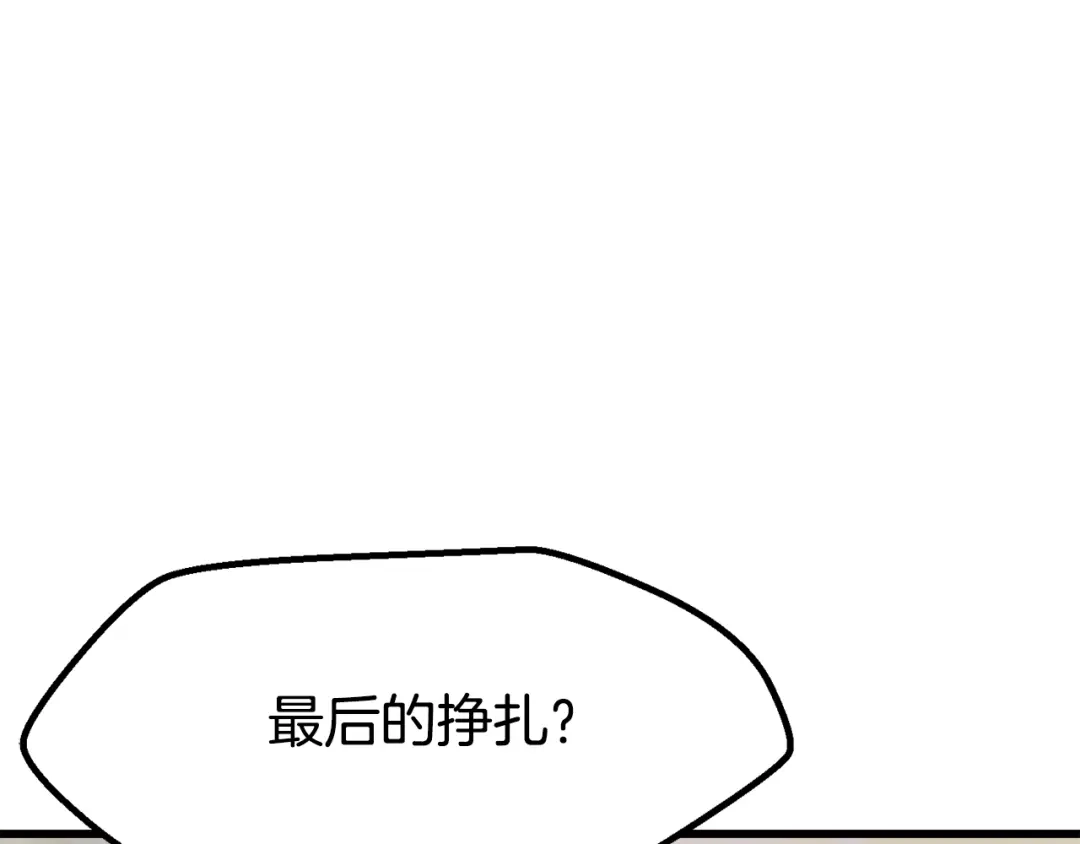 第241页