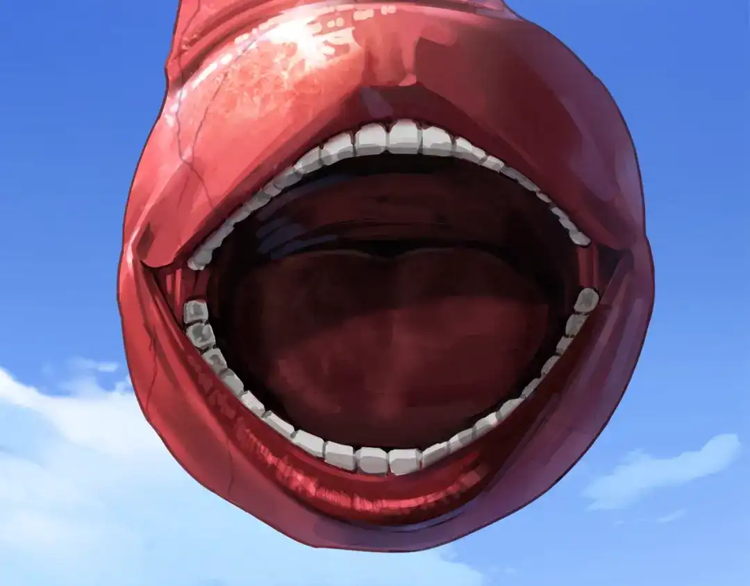 第206页