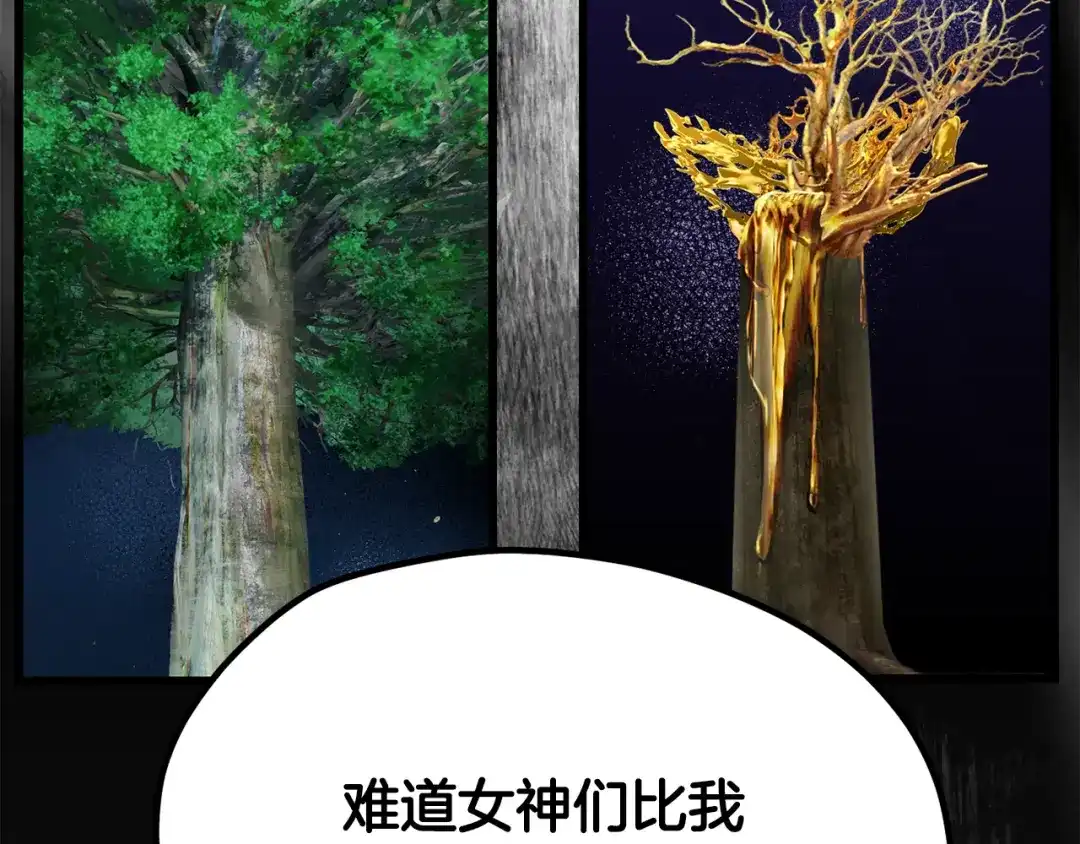 第224页