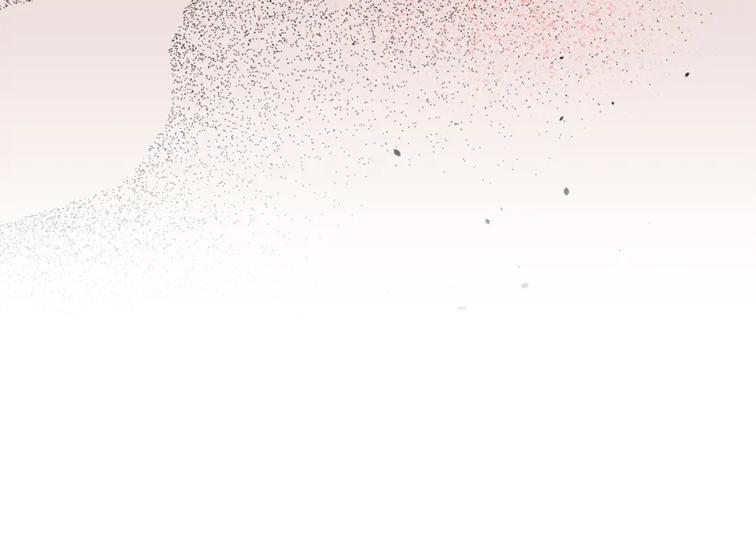 第233页