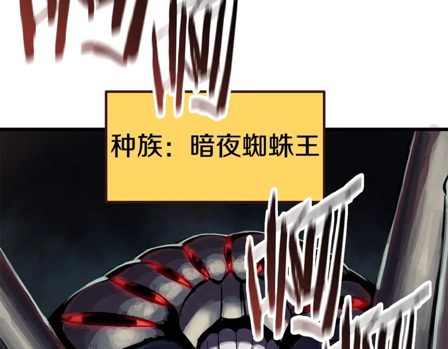 第223页