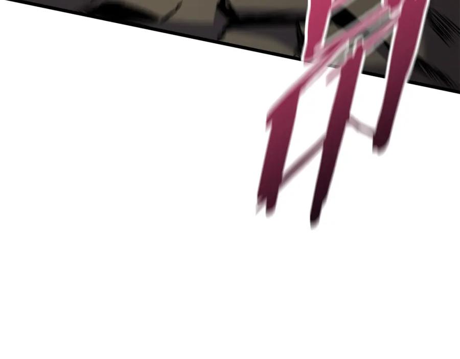 第231页